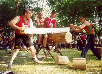 Corta de troncos con Hacha y Tronzón
