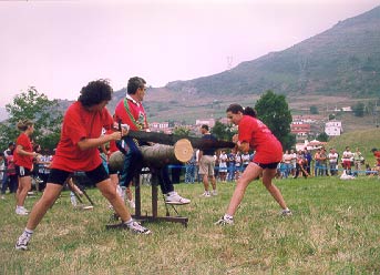 Corta de troncos con Tronzón