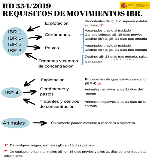 RD 554/2019 Requisitos de movimientos IBR