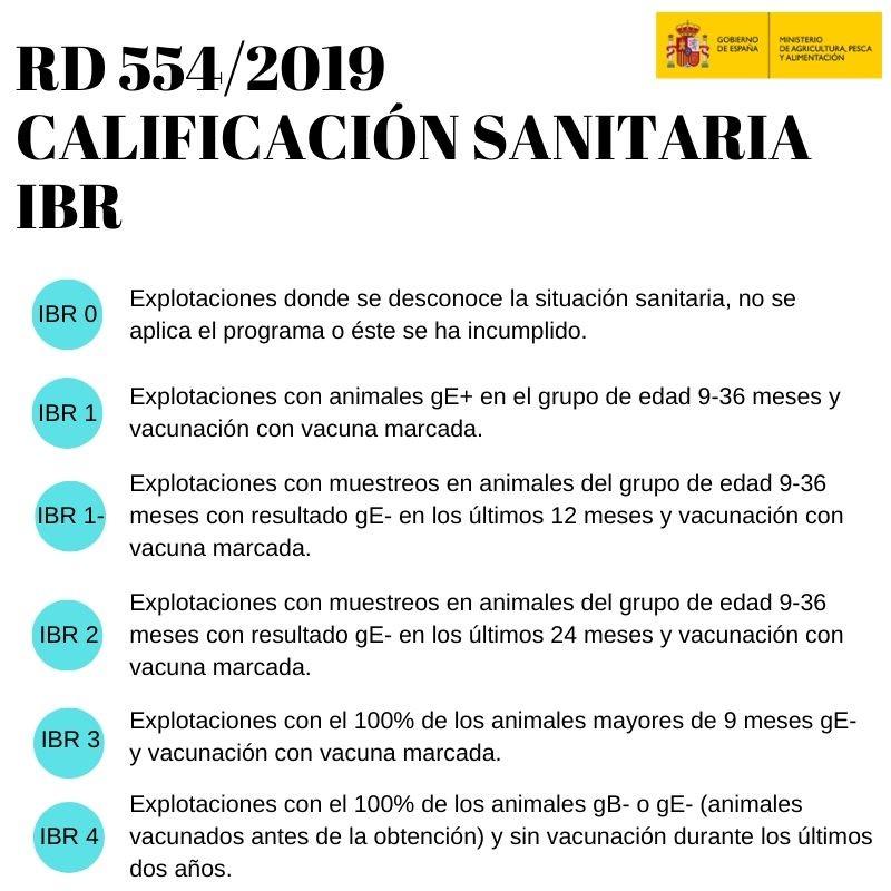 RD 554/2019 Calificación Sanitaria IBR