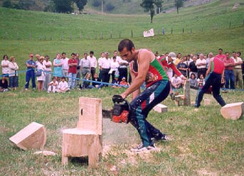 Talla de troncos con Motosierra